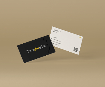 Brand Identity TDO