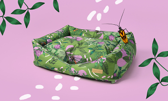 Bug off! Pattern Design & Botanical Illustrations