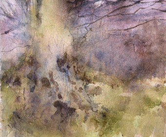 Landscapes and Enviroments