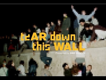 teAR down this WALL