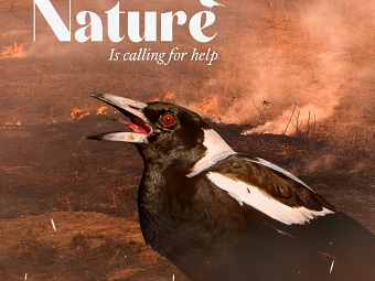 Nature Is Calling For Help