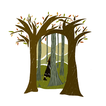 Into the Woods