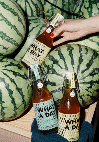 What A Day Kombucha Identity Design