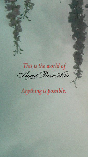 Social media content, print designs & art direction
