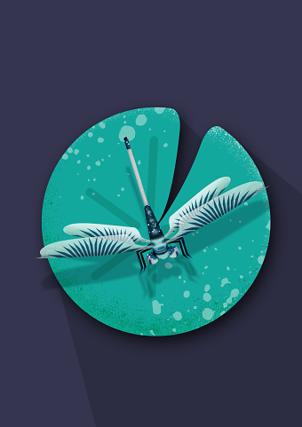 dragon fly