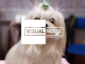 VISUAL NOISE AT MARYLAND STUDIO: NEXT GENERATION OF PHOTOGRAPHY VOICES EXHIBIT WITH RANKIN