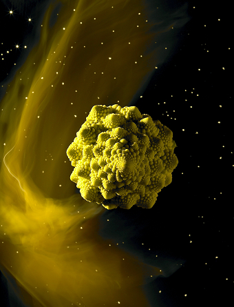 Vegetables in Space