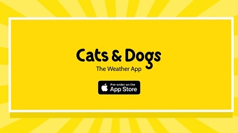 Cats & Dogs - The Weather App