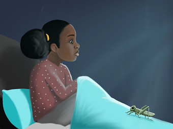 Nkanyezi and the grasshopper messenger