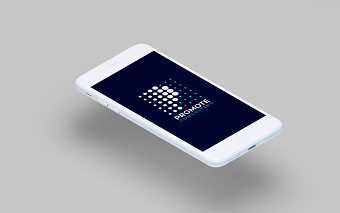 Promote Consulting - brand and website