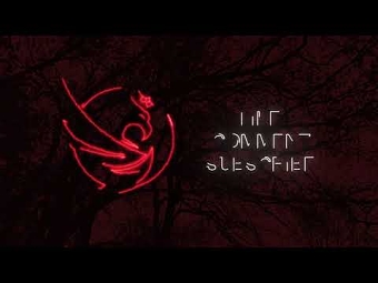Introductory video