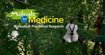 Interactive film series showing pharma employees how a molecule becomes a medicine