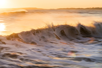 WAVES