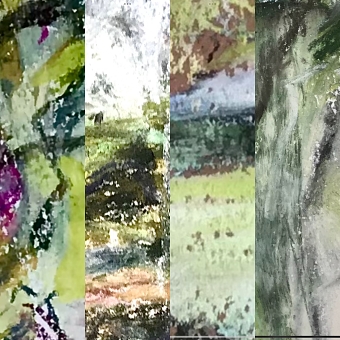 Landscapes through the seasons, a visual dialogue.