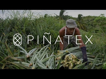 Pinatex