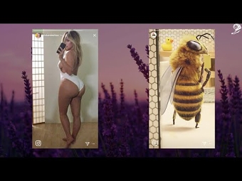Bee Influencer