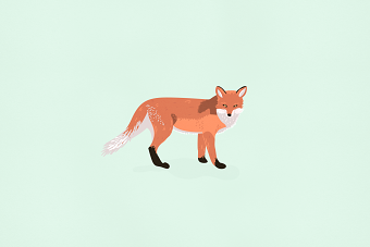Illustration for Twig Education