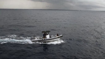 Saving the Seas