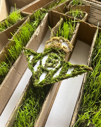 Biodegradable Betis