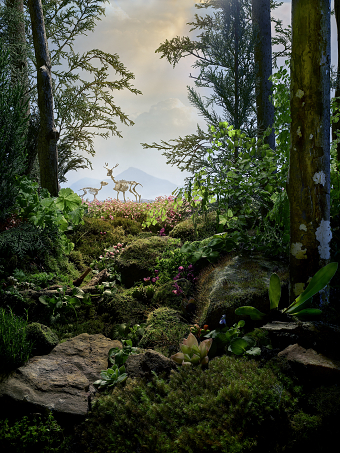 Acquiesce - Fine Art Project