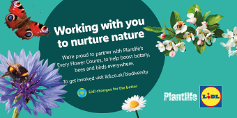 Plantlife/ Lidl Collab - Photography and Retouching