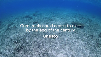 Hope Reef (Case Film)