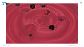 Cornetto | Crazy Rose