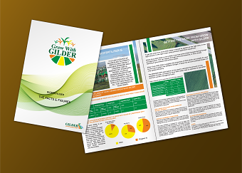 Grow With Gilder - Brochure Design