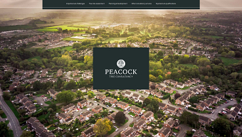 Peacock Tree Consultancy website
