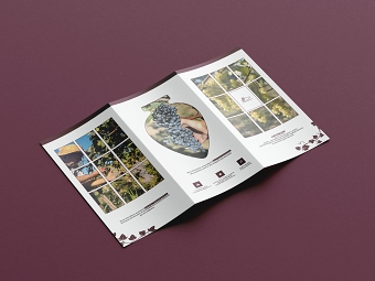 Brochure For Wine Brand "Kaloubani"