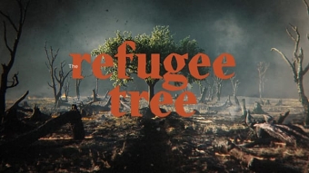 The Refugee Jatoba