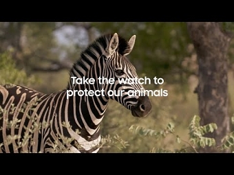 Wildlife Watch