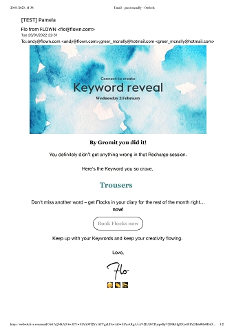 New Year's challenge new member email campaign