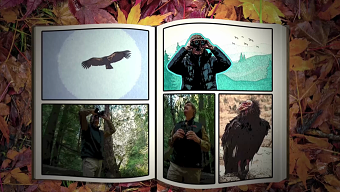 Wild Kingdom Intro