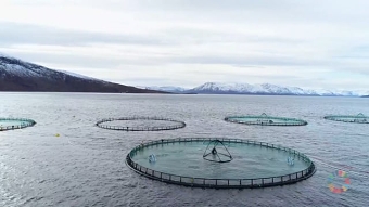 Grieg Seafood - Farming the ocean for a better future
