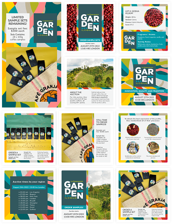 Social Media Design