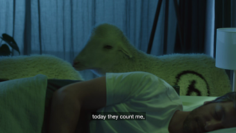 The uncounted sheep