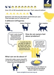 Cats + Bird Populations