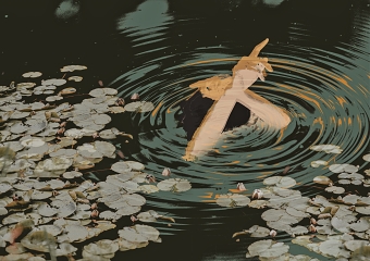 The Pond - A Collage