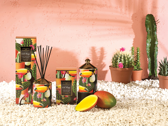 Wild Things home fragrance collection
