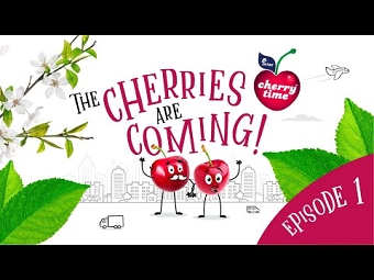 Cherry Time™ 2022