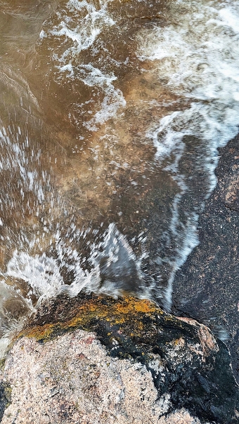 Nature3