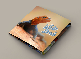 WhiteSands Hotel & Beach Resort Brochure