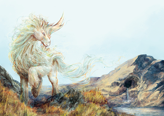 Highland Unicorn