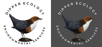 Dipper Ecology Logo Design