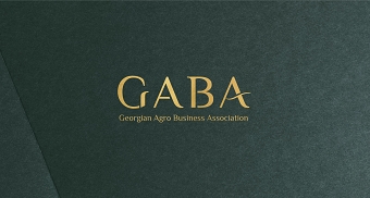 Brand Identity for Georgian Agro Business Association