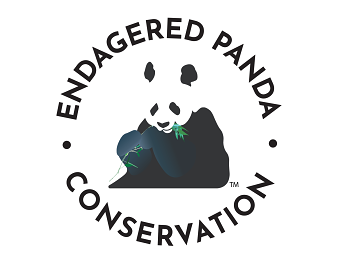 Logos 2021