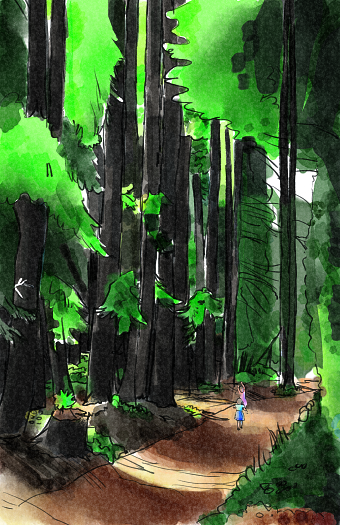 Children's book illustrations