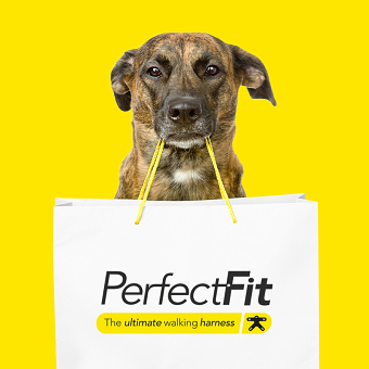 PerfectFit Harness branding