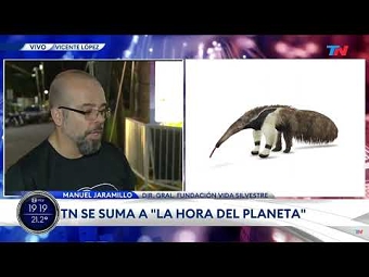 La Otra Realidad